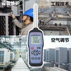 HG970 可拆換探頭濕度巡檢儀  工業(yè)型露點測量儀